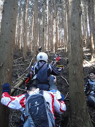 DSC01563.jpg