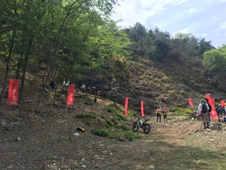image1.JPG